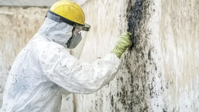 Worker in a helmet and respirator scrubbing a mold-stained wall