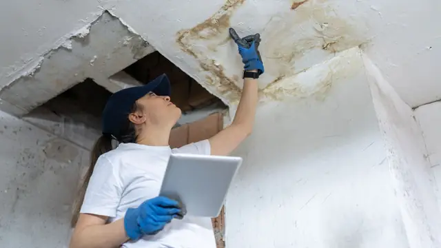 Inspector looking up at a water-stained ceiling while holding a tablet