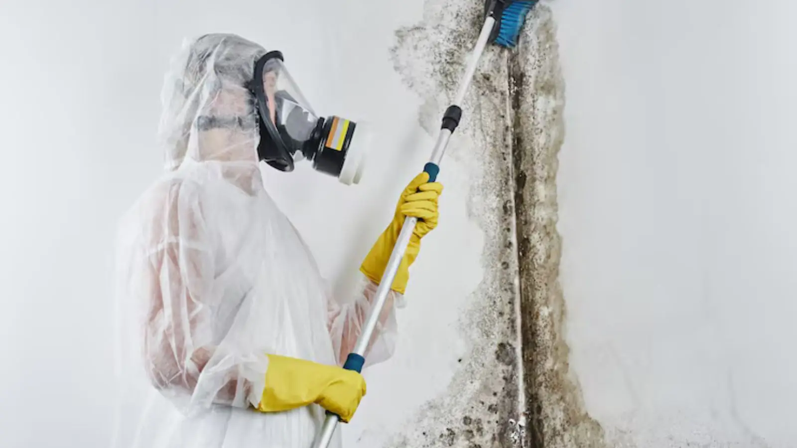 Worker in respirator and protective suit treating a moldy wall