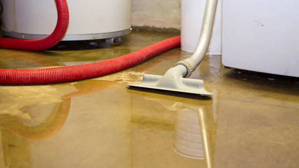 Wet vacuum wand extracting standing water from a floor